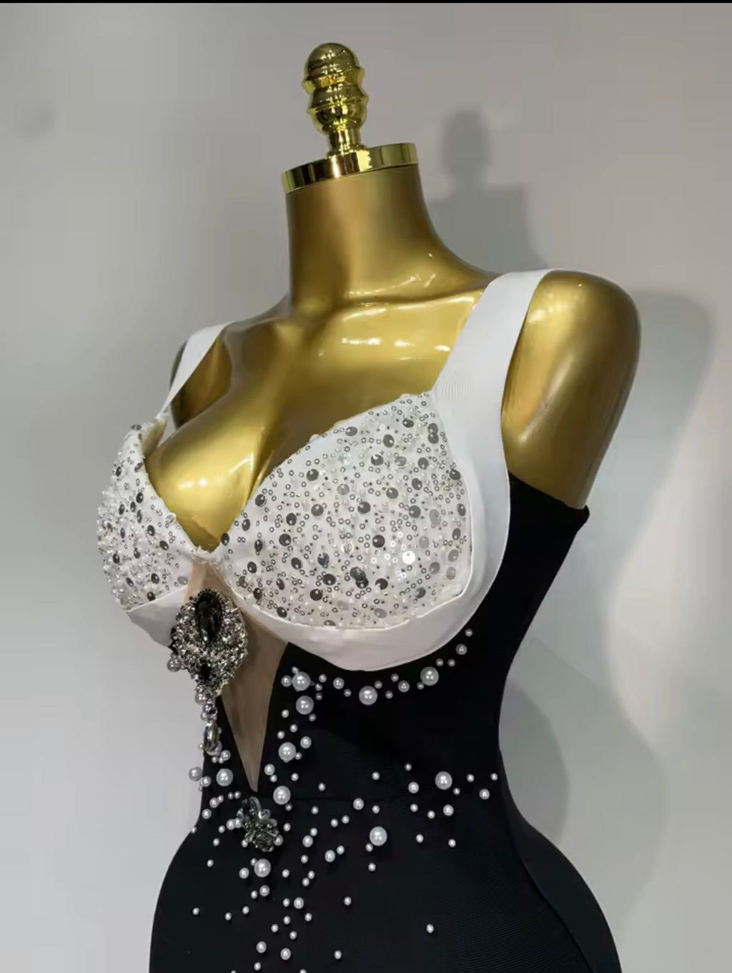 Visionary Vinary Dress